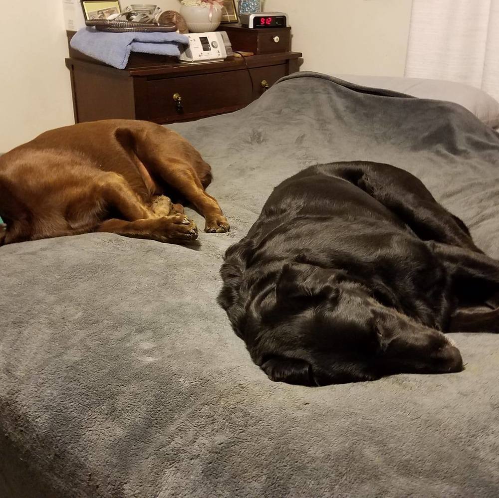 Meet your Posher, Joyce